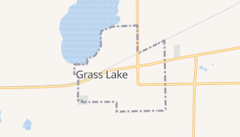 Grass Lake, Michigan map
