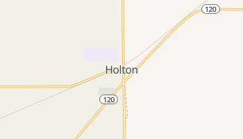 Holton, Michigan map