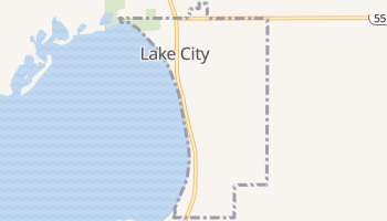 Lake City, Michigan map