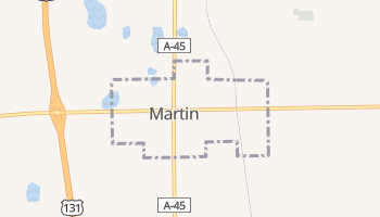 Martin, Michigan map