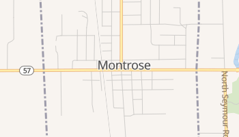 Montrose, Michigan map
