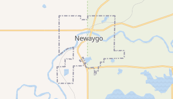 Newaygo, Michigan map
