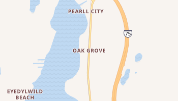 Oak Grove, Michigan map