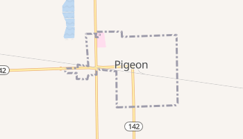 Pigeon, Michigan map