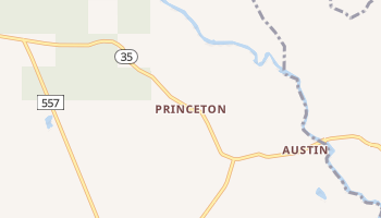 Princeton, Michigan map