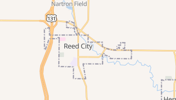 Reed City, Michigan map