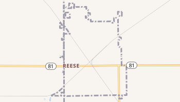 Reese, Michigan map