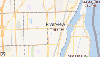 Riverview, Michigan map