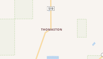 Thomaston, Michigan map