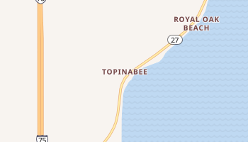 Topinabee, Michigan map