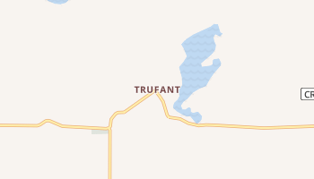 Trufant, Michigan map