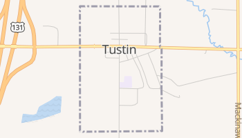 Tustin, Michigan map