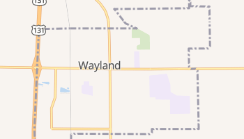 Wayland, Michigan map