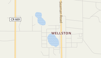 Wellston, Michigan map