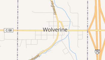 Wolverine, Michigan map