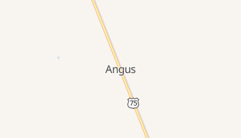 Angus, Minnesota map