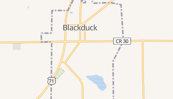 Blackduck, Minnesota map