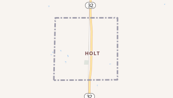Holt, Minnesota map
