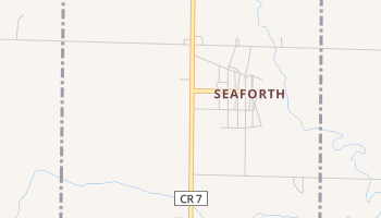Seaforth, Minnesota map