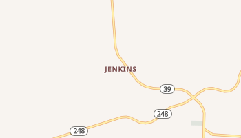 Jenkins, Missouri map