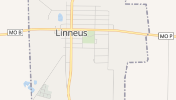 Linneus, Missouri map