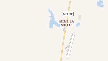 Mine La Motte, Missouri map