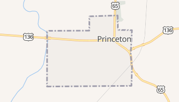 Princeton, Missouri map