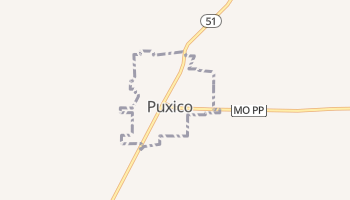 Puxico, Missouri map