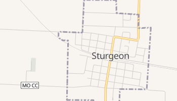 Sturgeon, Missouri map