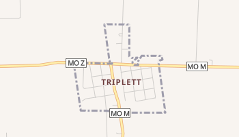 Triplett, Missouri map