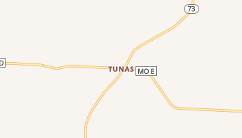 Tunas, Missouri map