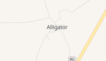 Alligator, Mississippi map
