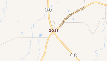 Goss, Mississippi map