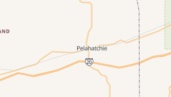 Pelahatchie, Mississippi map
