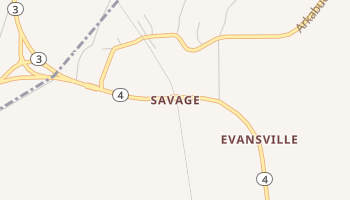 Savage, Mississippi map