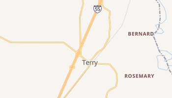 Terry, Mississippi map