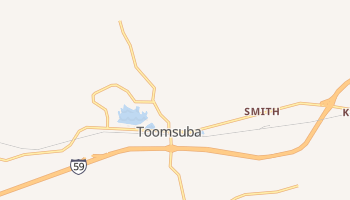 Toomsuba, Mississippi map
