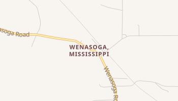 Wenasoga, Mississippi map