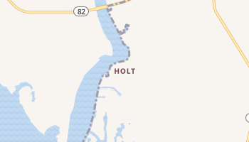 Holt, Montana map