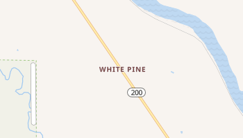 White Pine, Montana map
