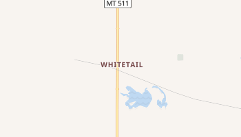 Whitetail, Montana map