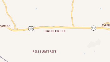 Bald Creek, North Carolina map