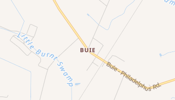 Buie, North Carolina map