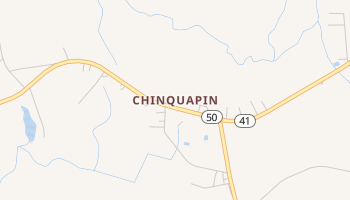 Chinquapin, North Carolina map