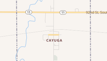 Cayuga, North Dakota map