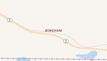 Bingham, Nebraska map