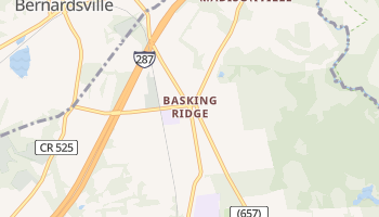 Basking Ridge, New Jersey map