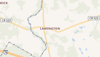 Lamington, New Jersey map