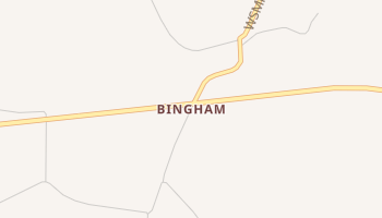 Bingham, New Mexico map