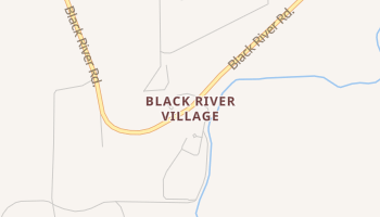 Black River Village, New Mexico map